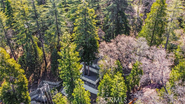 26433 Forest Lane, Twin Peaks, CA, 92391 26433 Forest Lane, Twin Peaks, CA, 92391