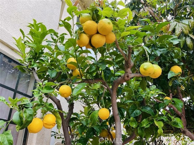 Detail Gallery Image 9 of 39 For Address Is Not Disclosed, Gardena,  CA 90249 - 5 Beds | 4 Baths