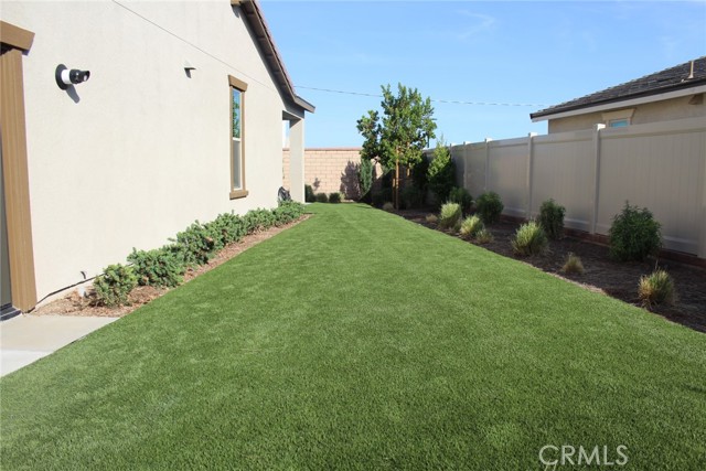Side Yard View