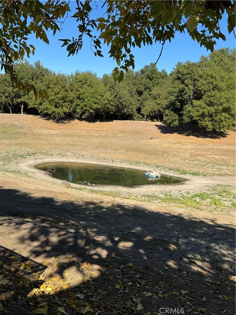 MLS #OC25262578 image #48