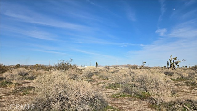 Detail Gallery Image 5 of 21 For 0 115th St East S/O Ave S, Littlerock,  CA 93543 - – Beds | – Baths