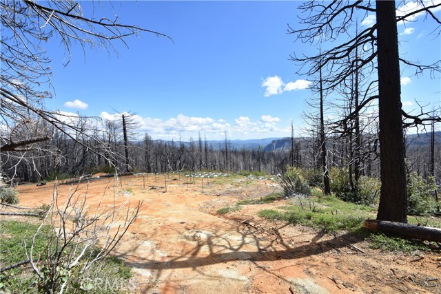 93 Stump Ranch Road, Berry Creek, CA, 95916 93 Stump Ranch Road, Berry Creek, CA, 95916