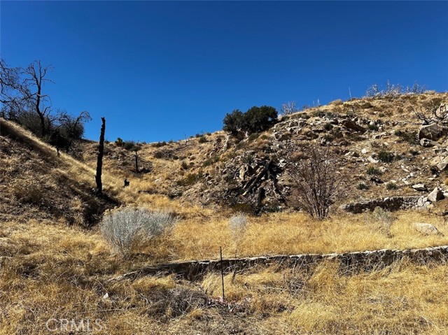 Detail Gallery Image 7 of 15 For 195 Ste/2 Min Bg, Llano,  CA 93544 - – Beds | – Baths