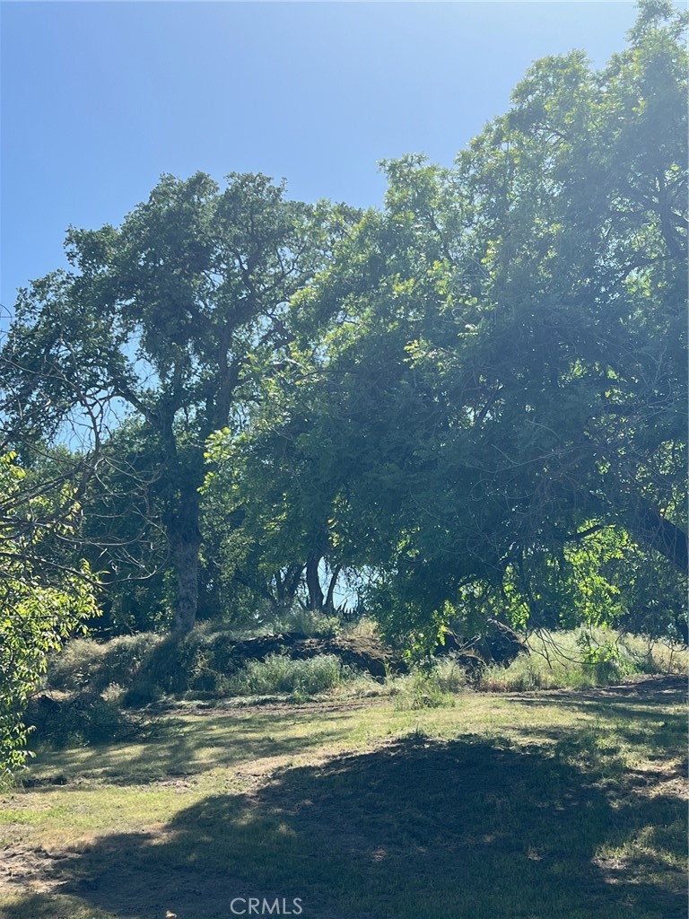 https://media.crmls.org/medias/3369f7dd-38f7-45c3-bc45-f248fff6a33a.jpg?preset=X-Large