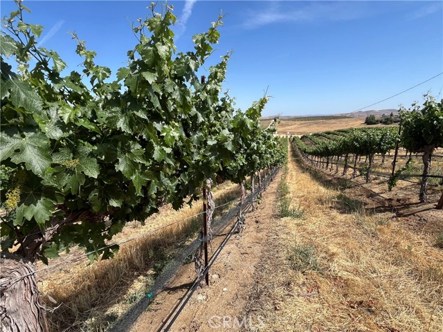 Detail Gallery Image 28 of 42 For 1375 Grana Pl, San Miguel,  CA 93451 - 4 Beds | 2 Baths