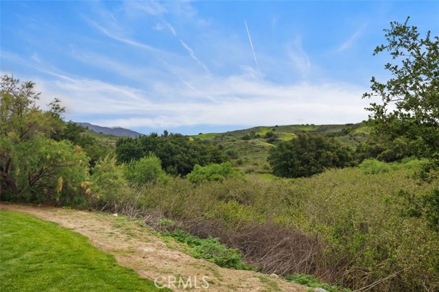 4 Chisholm Trail, Trabuco Canyon CA: https://media.crmls.org/medias/336e1bf9-eda5-474d-a0b3-f797956e183a.jpg