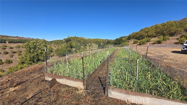 Detail Gallery Image 14 of 18 For 0 via Barranca, Temecula,  CA 92590 - – Beds | – Baths