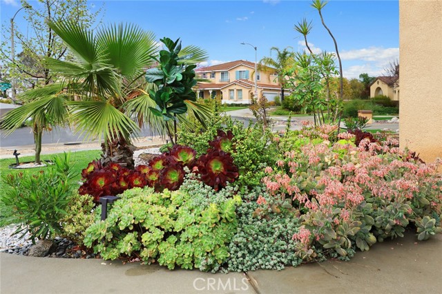 13229 Lima Drive, Rancho Cucamonga CA: https://media.crmls.org/medias/3371411f-141f-4846-b0df-7bb82e8f9098.jpg