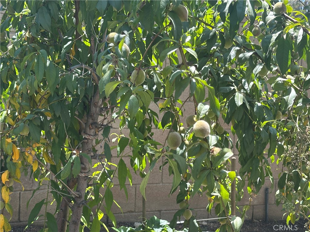 https://media.crmls.org/medias/3375a7e9-ce40-49c8-bd74-b8a54024e28a.jpg?preset=X-Large