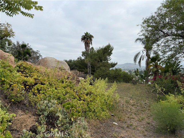 1233 Bonita Way, El Cajon CA: https://media.crmls.org/medias/3379f7ed-f5fc-42ea-b9a1-ac7ffcfe395d.jpg