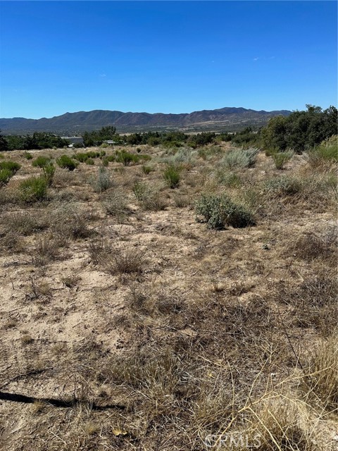 0 Gassner, Anza, California 92539, ,Land,For Sale,0 Gassner,CRIV23203423