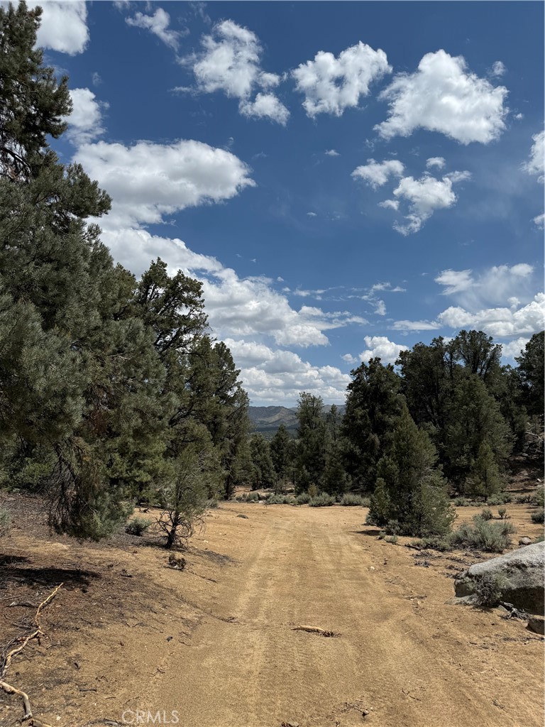https://media.crmls.org/medias/337ecf66-3ab2-414a-b00b-028436780557.jpg?preset=X-Large