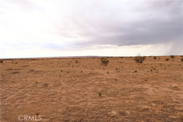 0 Forest Boulevard, California City CA: https://media.crmls.org/medias/33823249-cb5b-4062-b4da-d09c5a86c497.jpg