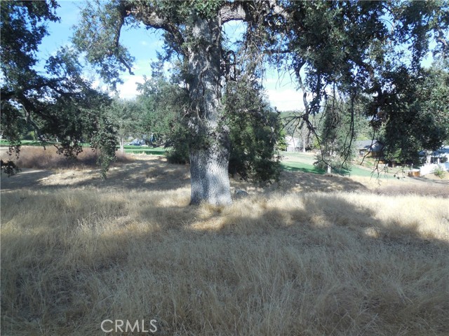 Detail Gallery Image 8 of 10 For 1 Acre Griffin Dr, Oakhurst,  CA 93644 - – Beds | – Baths