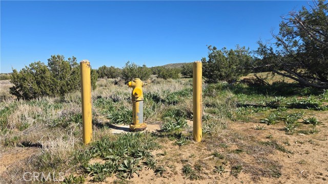 Detail Gallery Image 25 of 31 For 0 123rd St East Near Ave X8, –,  CA 93553 - – Beds | – Baths