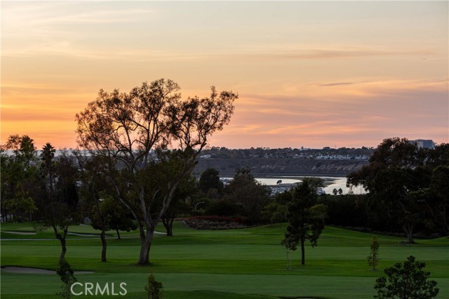 Front Image Thumbnail for CROC25263019