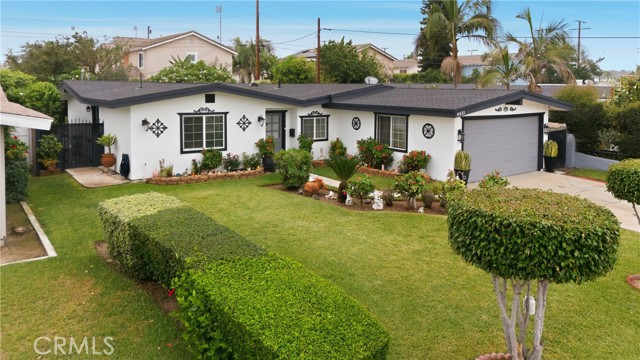 Front Image Thumbnail for CRDW25248787