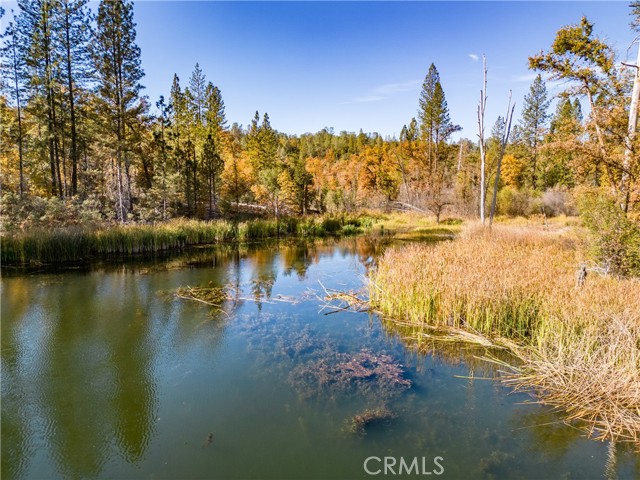 4816 Stumpfield Mountain Road, Mariposa, California 95338, 2 Bedrooms Bedrooms, ,1 BathroomBathrooms,Residential,For Sale,4816 Stumpfield Mountain Road,CRMP23211907