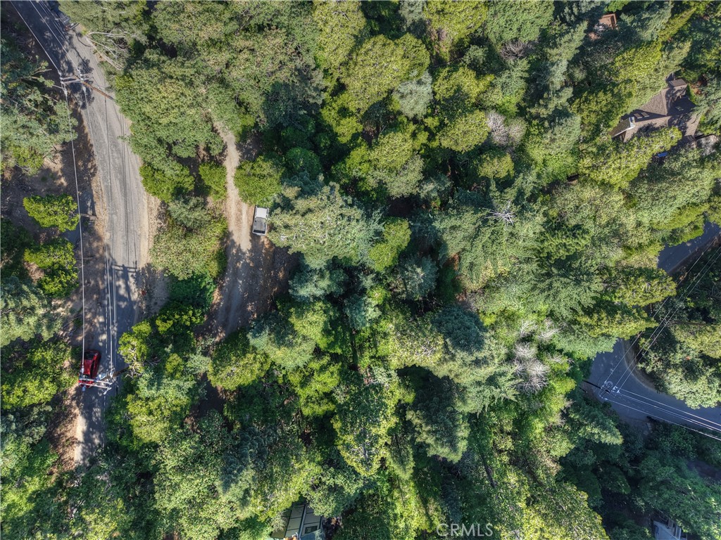 MLS #IG25157428 image #5