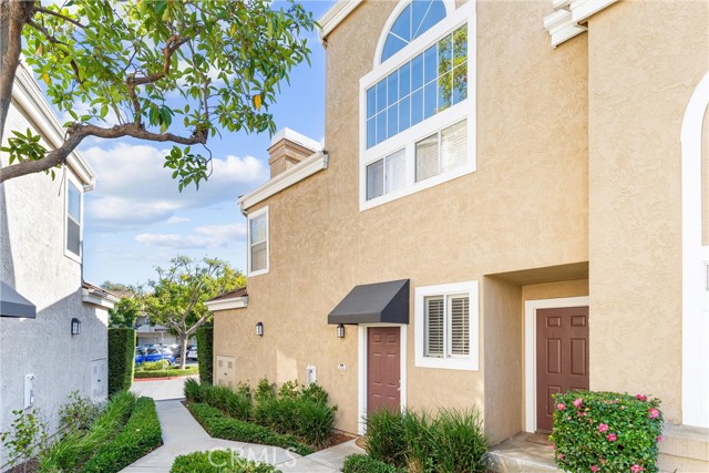 Front Image Thumbnail for CROC25246733