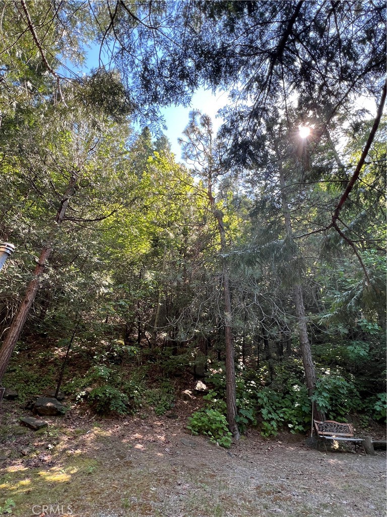 https://media.crmls.org/medias/338f81e1-eab8-4ae4-94cc-a6a425f06549.jpg?preset=X-Large