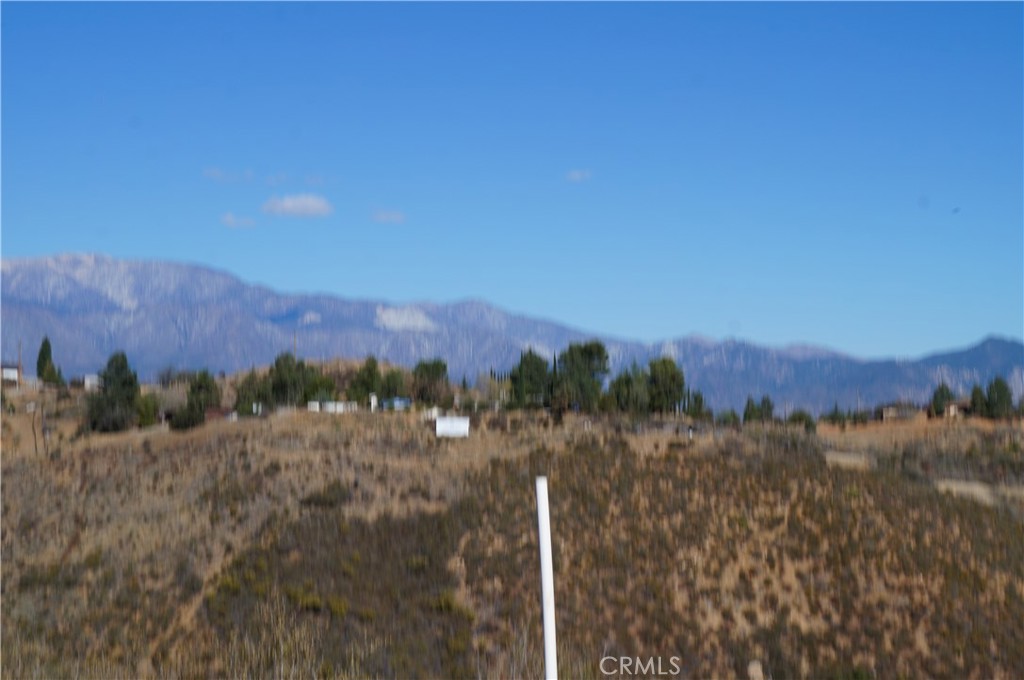 MLS #SB25011782 image #4