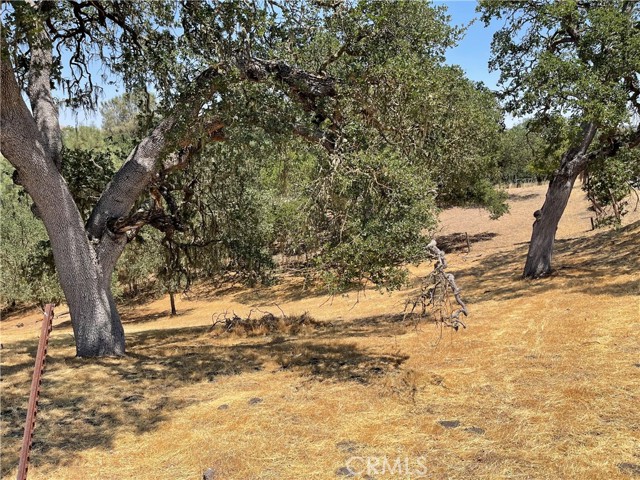 9025 Junipero Avenue, Atascadero, California 93422, ,Land,For Sale,9025 Junipero Avenue,CRSC24001877