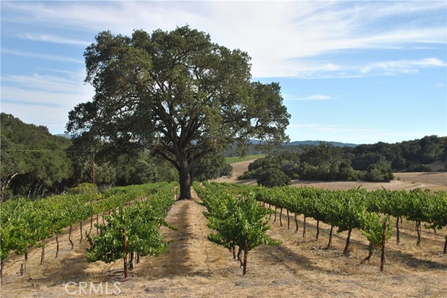 Detail Gallery Image 3 of 8 For 2867 Township Road, Paso Robles,  CA 93446 - 6 Beds | 4/1 Baths