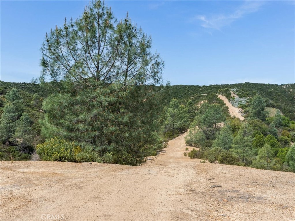 https://media.crmls.org/medias/339f045c-4b06-4634-872e-c5507aadc370.jpg?preset=X-Large