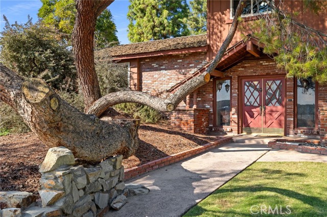 Front Image Thumbnail for CRSR25247070