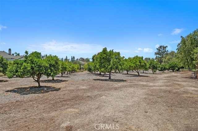 25572 Orchard Rim Ln, Lake Forest CA: https://media.crmls.org/medias/33aa27ef-0920-45ce-8ee5-63d85b550227.jpg