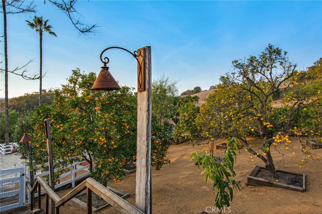 33ac4225 E604 416a Abd5 04526918e7f5