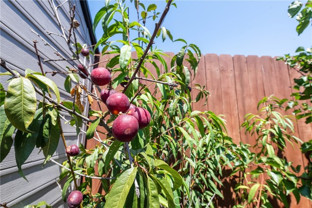 1004 Firmona Avenue, Redondo Beach CA: https://media.crmls.org/medias/33aea3d5-fafd-46f9-8171-7b5bb041afa0.jpg