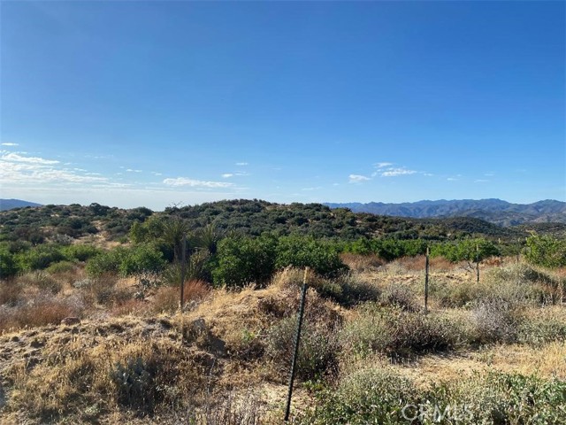 Detail Gallery Image 16 of 28 For 63151 Table Mountain Truck, Anza,  CA 92561 - – Beds | – Baths