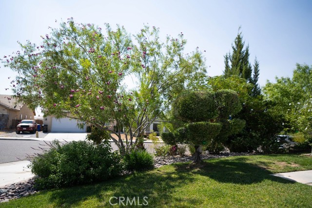 Detail Gallery Image 4 of 31 For 13018 Camden, Victorville,  CA 92392 - 3 Beds | 2/1 Baths