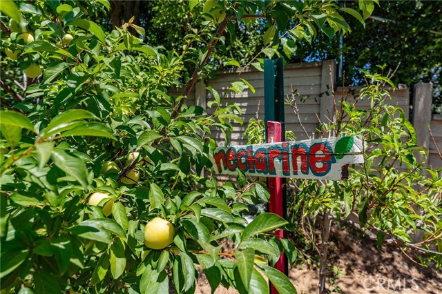 22501 Marilla Street, Chatsworth CA: https://media.crmls.org/medias/33b6e43f-07e9-482b-bf08-cb129e5758fc.jpg