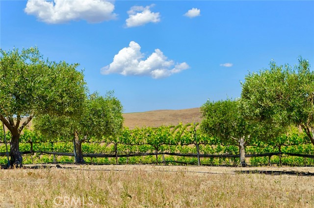 Detail Gallery Image 25 of 32 For 6320 Von Dollen Rd, San Miguel,  CA 93451 - – Beds | – Baths