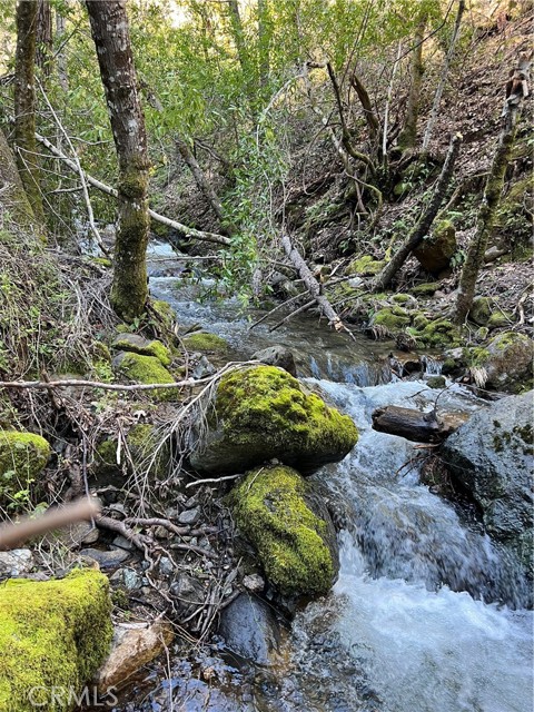 Detail Gallery Image 6 of 30 For 14903 Western Mine Rd, Middletown,  CA 95461 - – Beds | – Baths