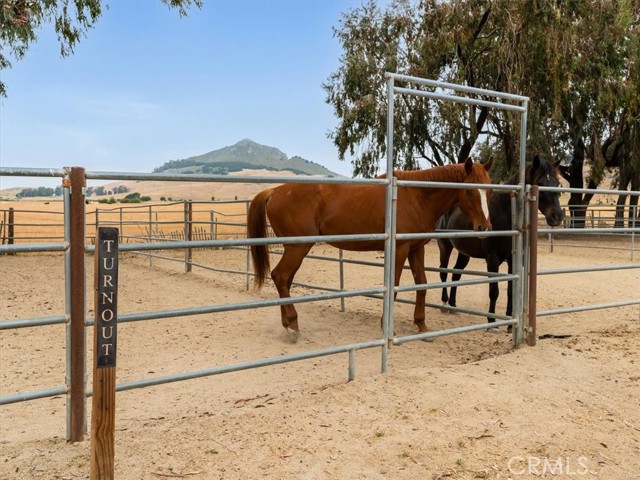 485 Oconnor Way, San Luis Obispo CA: https://media.crmls.org/medias/33bcd4ce-7636-480c-b2e8-2649e462384f.jpg