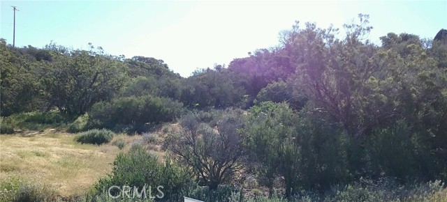 Details for 0 Lake Canyon, Aguanga, CA 92536