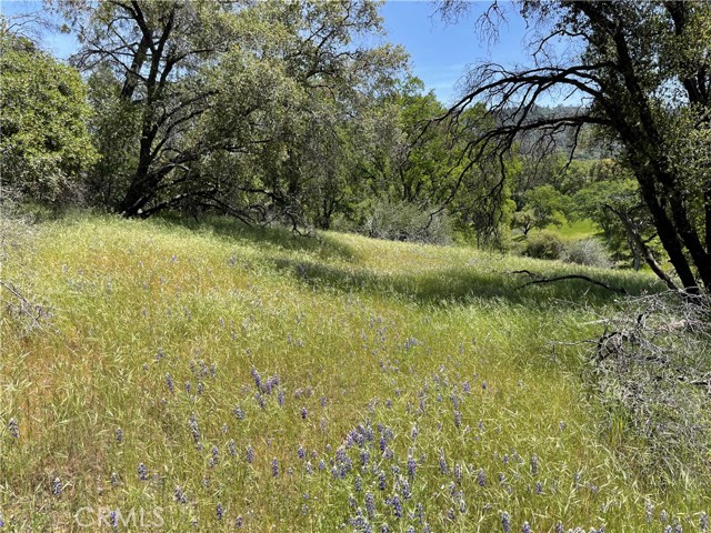 Detail Gallery Image 12 of 18 For 5275 Italian Creek Rd, Mariposa,  CA 95338 - – Beds | – Baths