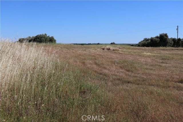 Detail Gallery Image 30 of 32 For 0 Carona Ave., Corning,  CA 96021 - – Beds | – Baths
