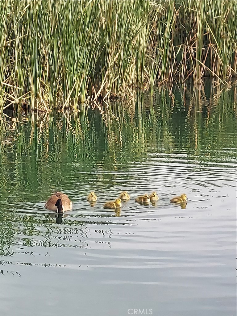 https://media.crmls.org/medias/33d27dee-eccb-4e92-af79-31d6601acf7a.jpg?preset=X-Large