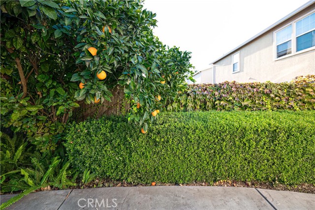 Detail Gallery Image 11 of 24 For 1144 Solstice Ave, Merced,  CA 95348 - 4 Beds | 2/1 Baths