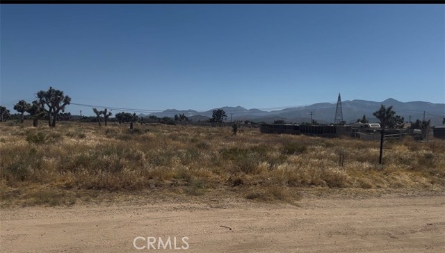 Front Image Thumbnail for CRPW26151549