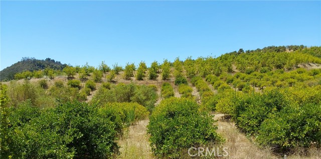 5 De Anza Road, Temecula CA: https://media.crmls.org/medias/33d571a7-cfb3-4d88-898c-7fac047115d7.jpg