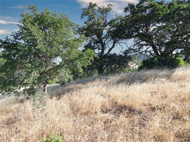 Detail Gallery Image 5 of 5 For 2405 Greeley St, Nice,  CA 95464 - – Beds | – Baths