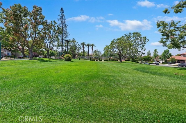 Detail Gallery Image 44 of 55 For 1774 Somerset Ln, Redlands,  CA 92374 - 4 Beds | 2/1 Baths