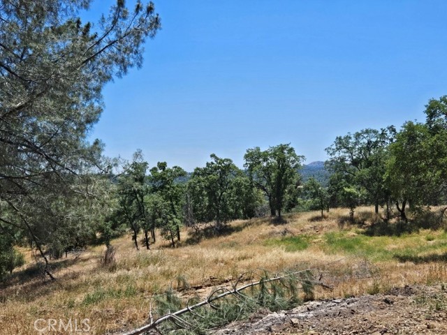 4223 Woodview Lane, Mariposa CA: https://media.crmls.org/medias/33dccefa-3aff-4c54-999b-1d80bb786eb2.jpg