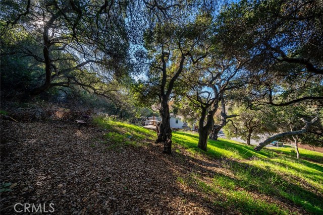 Detail Gallery Image 8 of 21 For 2171 San Luis Dr, San Luis Obispo,  CA 93401 - – Beds | – Baths